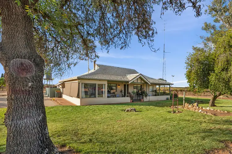 Main view of Homely house listing, 213 Old Sturt Highway, Barmera SA 5345