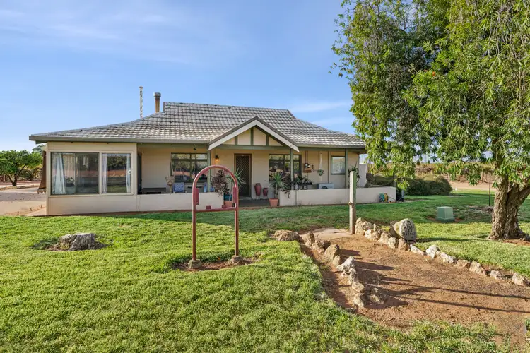 Second view of Homely house listing, 213 Old Sturt Highway, Barmera SA 5345
