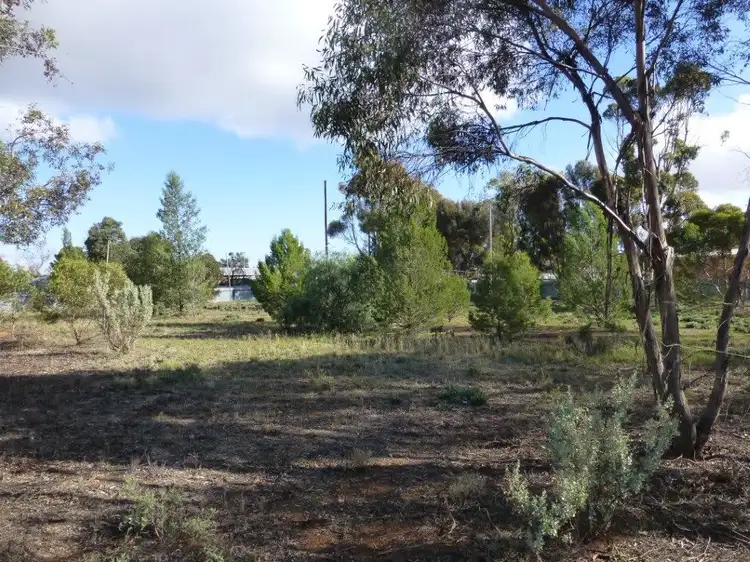 Main view of Homely land listing, 38-40 South Terrace, Peterborough SA 5422