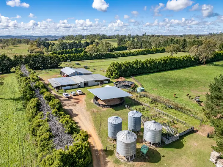 Second view of Homely rural property listing, 543 Aberbaldie Road, Walcha NSW 2354