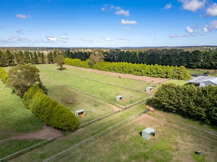 Fifth view of Homely rural property listing, 543 Aberbaldie Road, Walcha NSW 2354