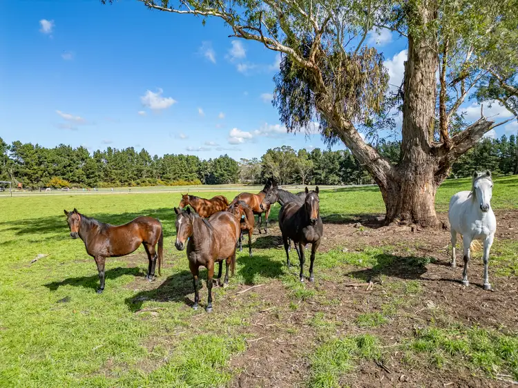 Sixth view of Homely rural property listing, 543 Aberbaldie Road, Walcha NSW 2354