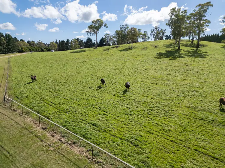 Seventh view of Homely rural property listing, 543 Aberbaldie Road, Walcha NSW 2354