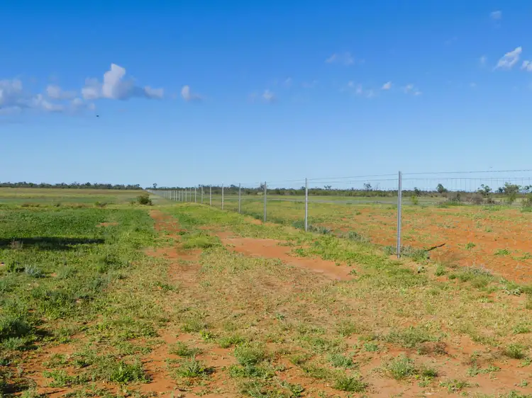 Fifth view of Homely rural property listing, 'Wyuna & Neverfail' 5643 Pitherty Road, Eulo QLD 4491