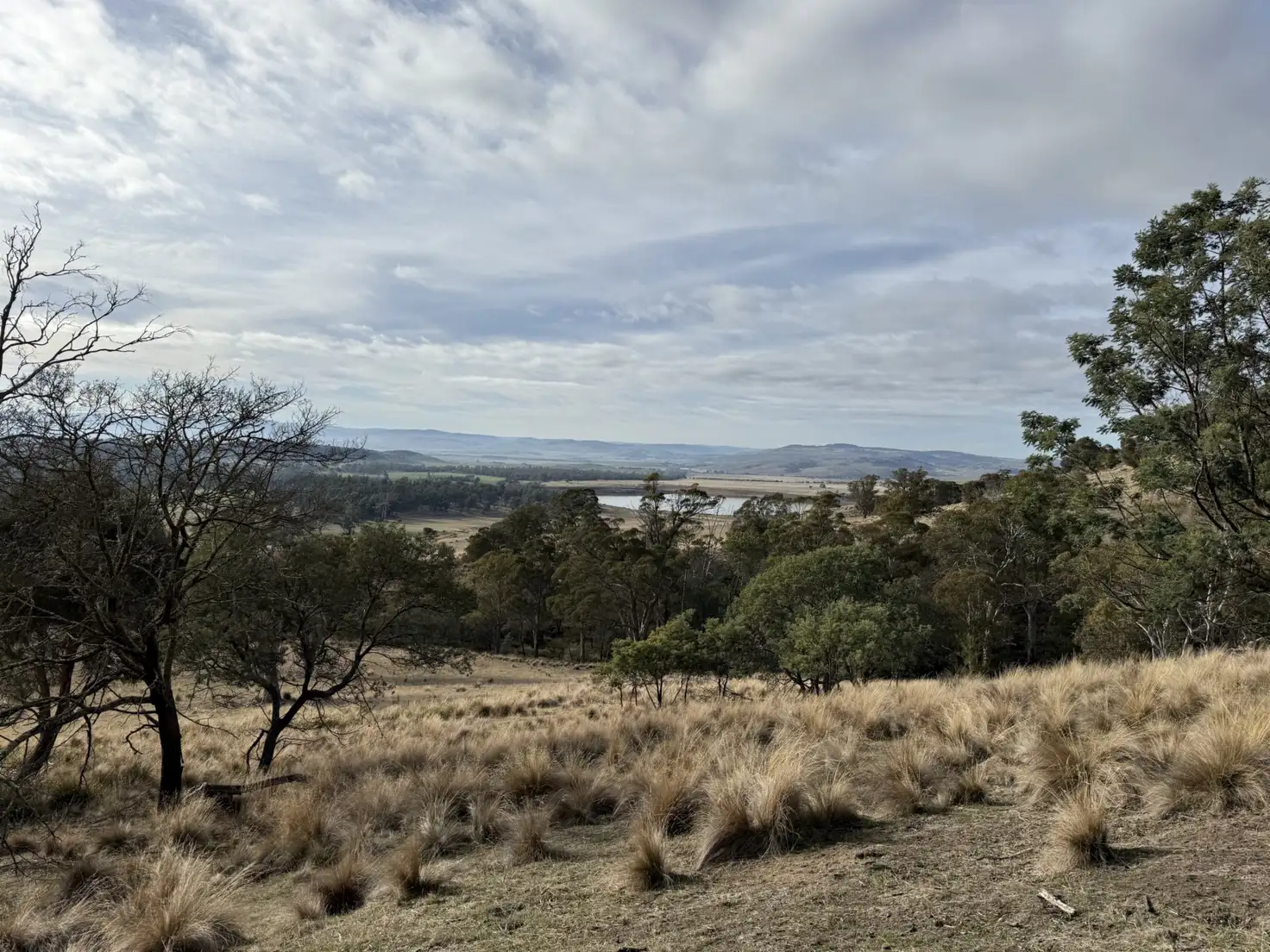 Main view of Homely rural property listing, 141630/2 Old Tier Road, Woodbury TAS 7120