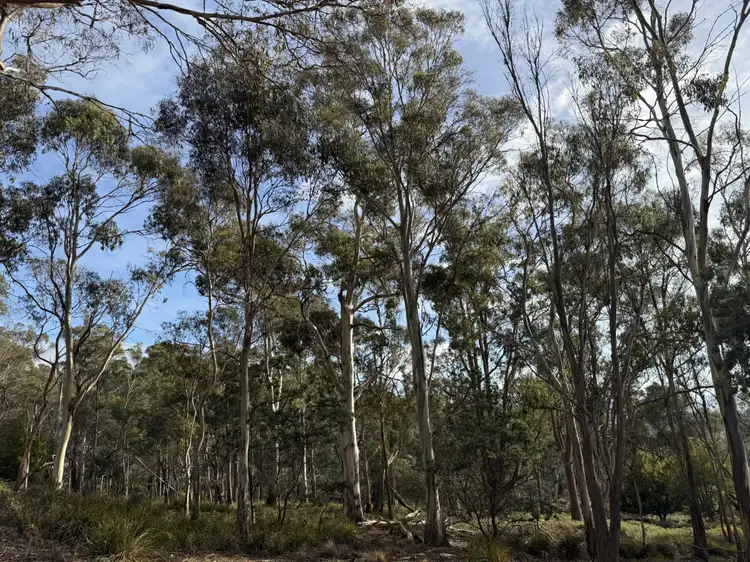 Second view of Homely rural property listing, 141630/2 Old Tier Road, Woodbury TAS 7120