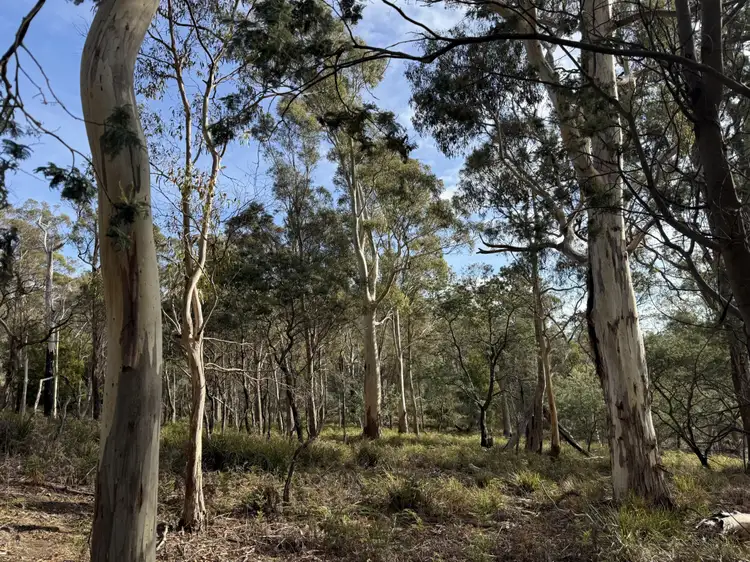 Fourth view of Homely rural property listing, 141630/2 Old Tier Road, Woodbury TAS 7120