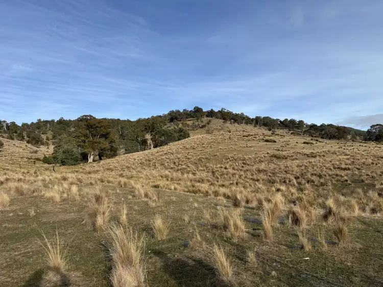 Seventh view of Homely rural property listing, 141630/2 Old Tier Road, Woodbury TAS 7120