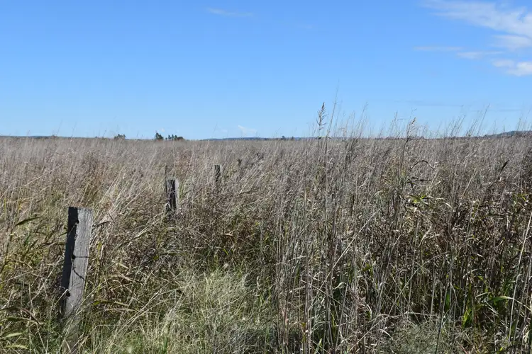 Sixth view of Homely rural property listing, LOT 27 0 SPRING CREEK ROAD, Clifton QLD 4361