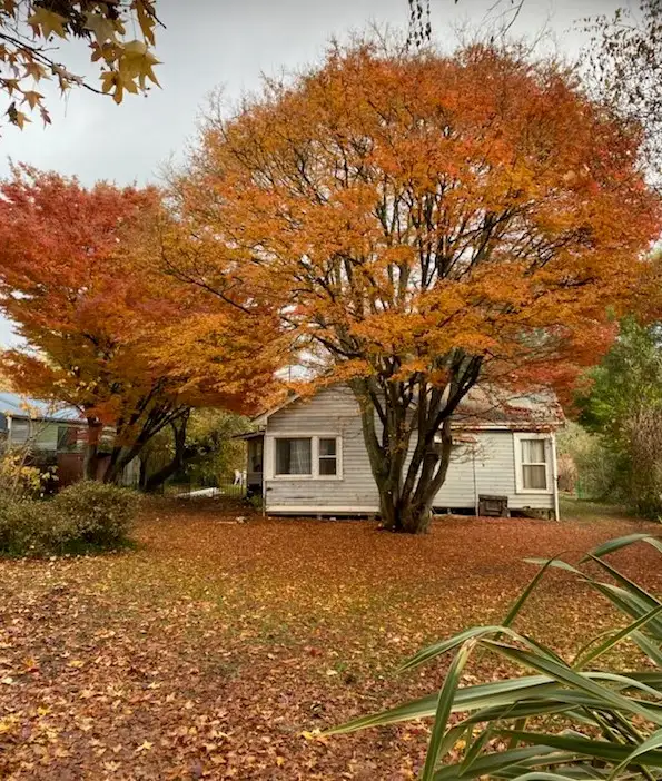 Main view of Homely house listing, 3321 Maroondah Highway, Taggerty VIC 3714