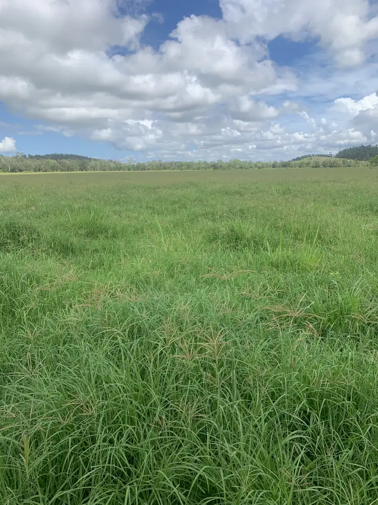 Second view of Homely rural property listing, Lot 4 Marwood Sunnyside Road, Sunnyside QLD 4737