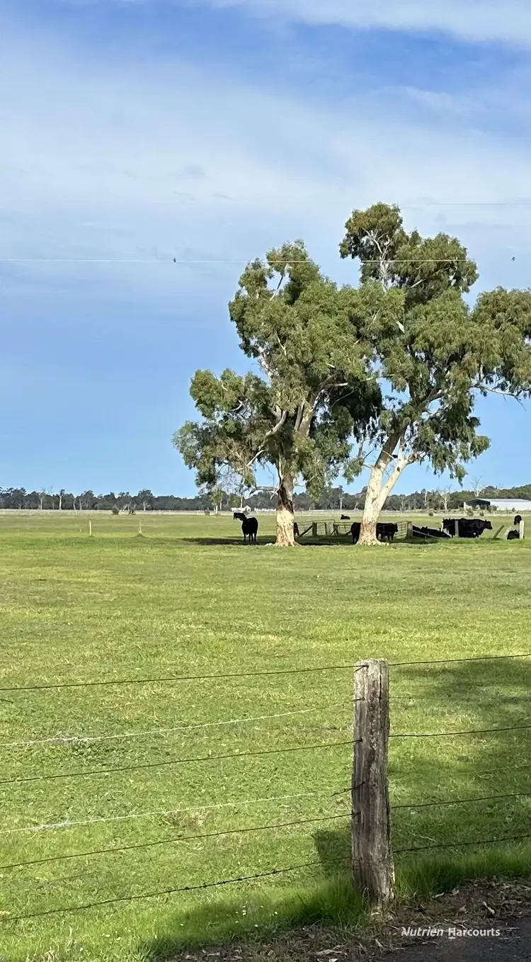 Seventh view of Homely rural property listing, 795 Boyanup-Picton Road, Crooked Brook WA 6236