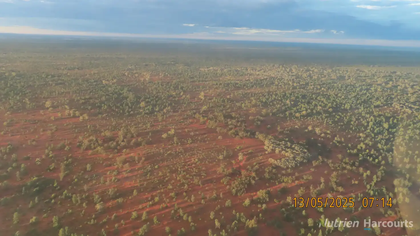 Main view of Homely rural property listing, * Ryandale, Cobar NSW 2835