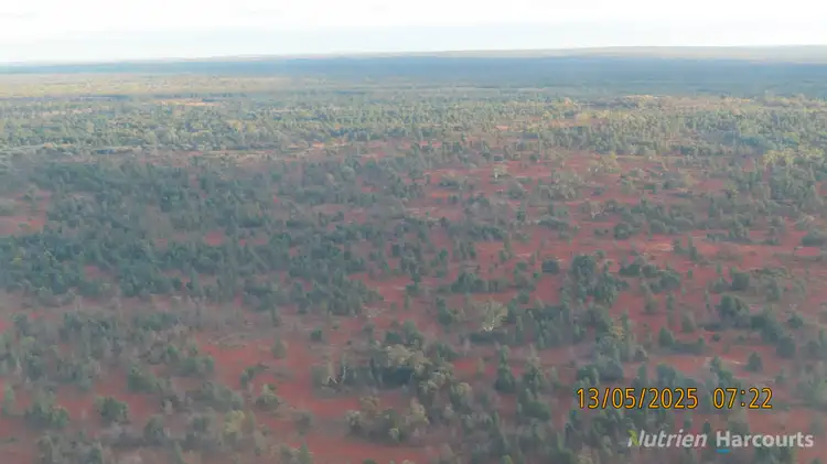 Second view of Homely rural property listing, * Ryandale, Cobar NSW 2835