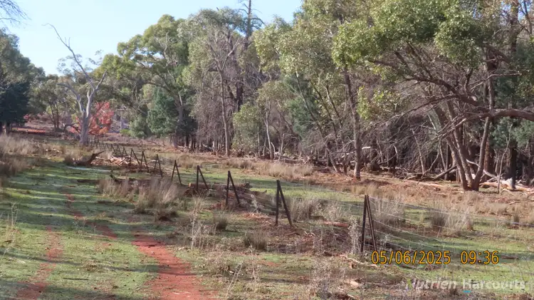Fourth view of Homely rural property listing, * Ryandale, Cobar NSW 2835