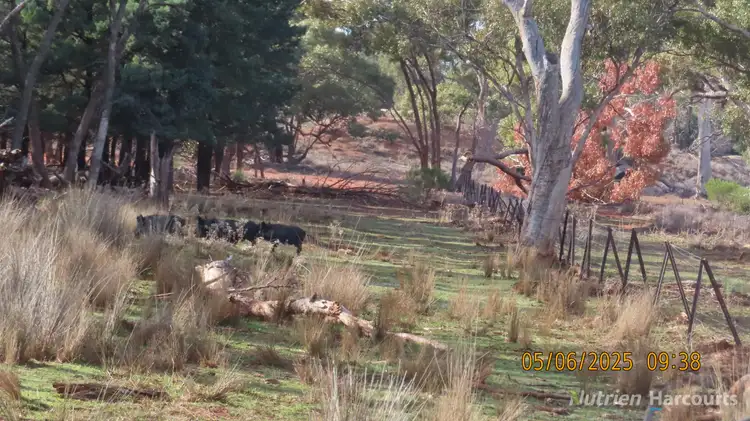 Fifth view of Homely rural property listing, * Ryandale, Cobar NSW 2835