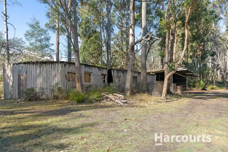 Fifth view of Homely house listing, 286 Mutual Road, Derby TAS 7264