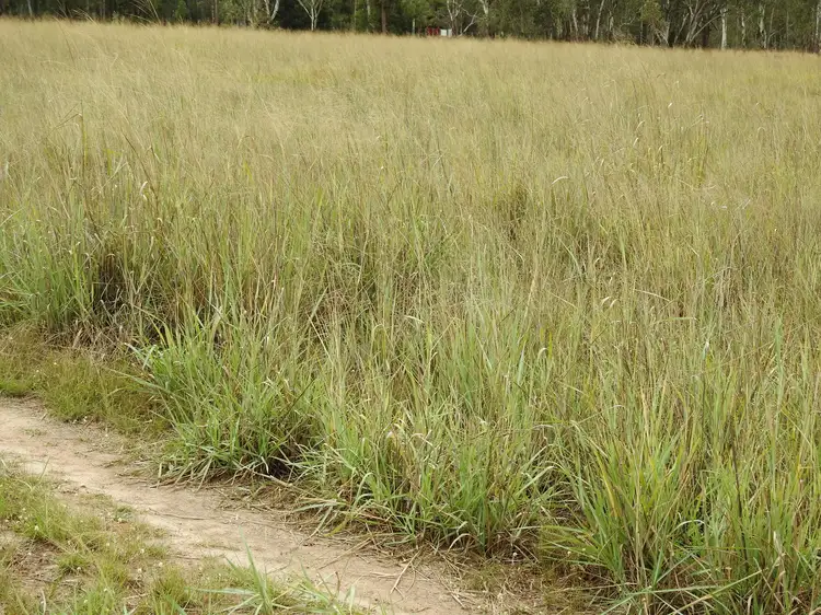 Third view of Homely rural property listing, 53 Ducklo Gulera Rd, Ducklo QLD 4405