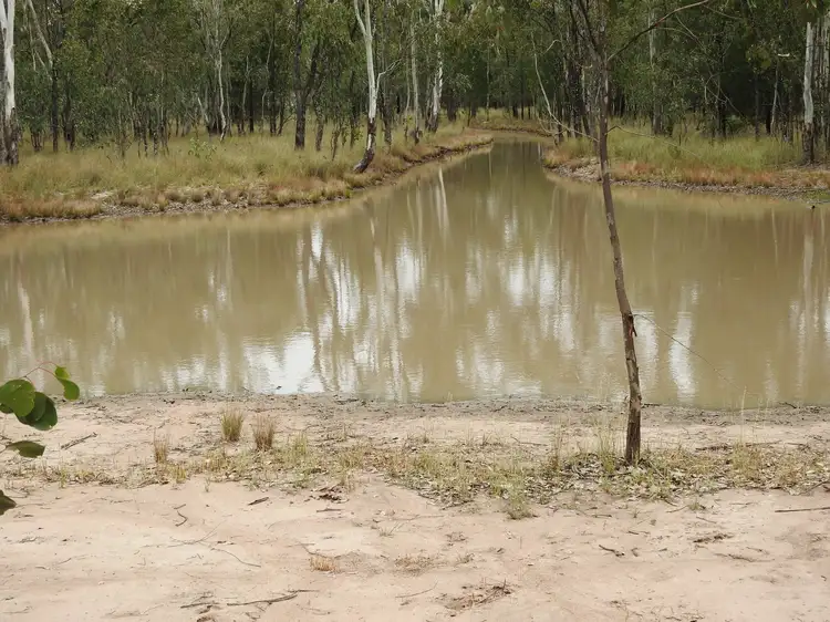 Fourth view of Homely rural property listing, 53 Ducklo Gulera Rd, Ducklo QLD 4405