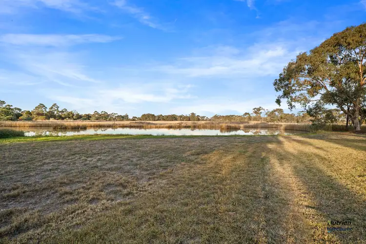 Fourth view of Homely rural property listing, 855 Starritt Road, Ardmona VIC 3629