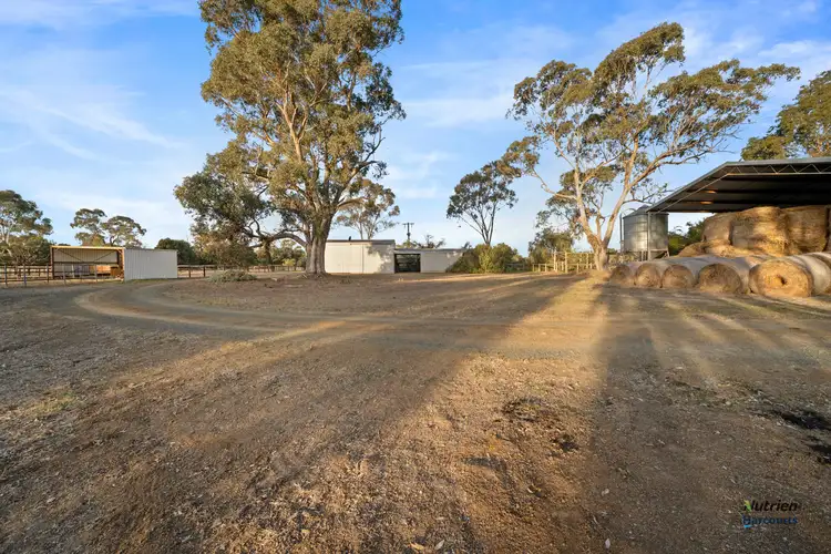 Fifth view of Homely rural property listing, 855 Starritt Road, Ardmona VIC 3629