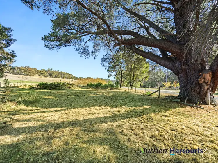 Fourth view of Homely land listing, 291 Gum Road, Caveat VIC 3660