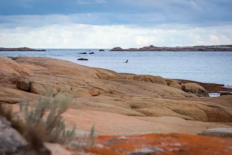 Fourth view of Homely rural property listing, Lot 3 Boat Harbour Road, Killiecrankie TAS 7255