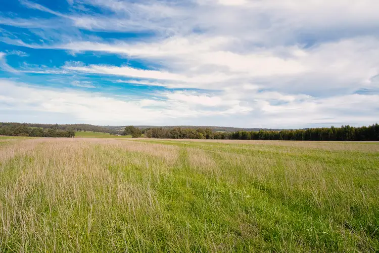 Main view of Homely rural property listing, Lot 3 Perup Road, Manjimup WA 6258