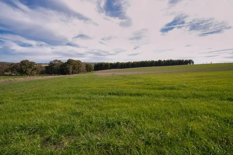 Fifth view of Homely rural property listing, Lot 3 Perup Road, Manjimup WA 6258