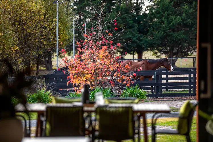 Second view of Homely rural property listing, 615 Baxter-Tooradin Road, Pearcedale VIC 3912