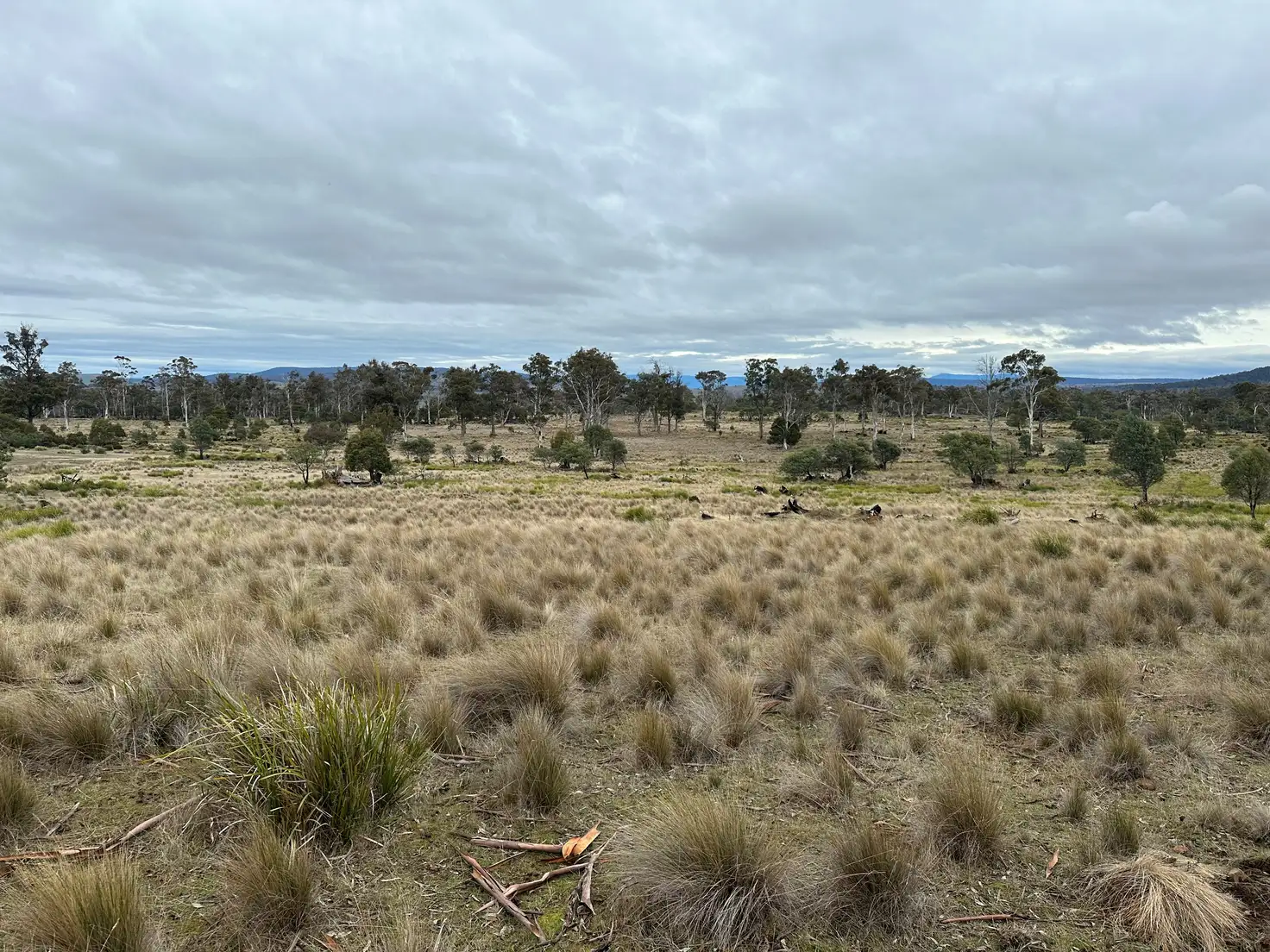 Main view of Homely rural property listing, . Glovers Road, Bothwell TAS 7030