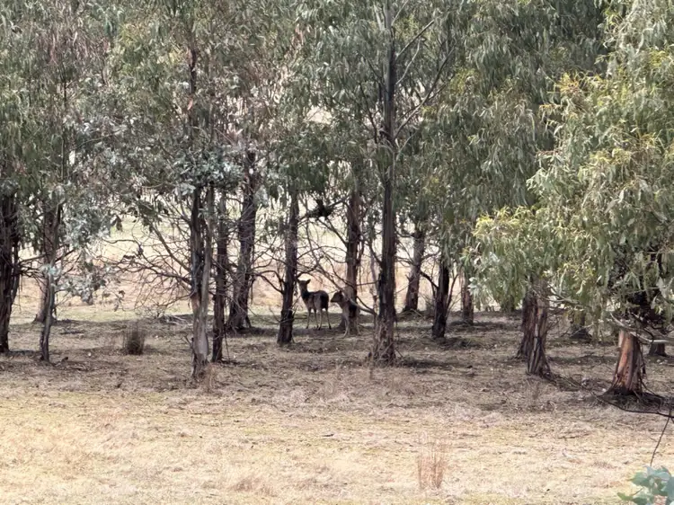 Second view of Homely rural property listing, . Glovers Road, Bothwell TAS 7030