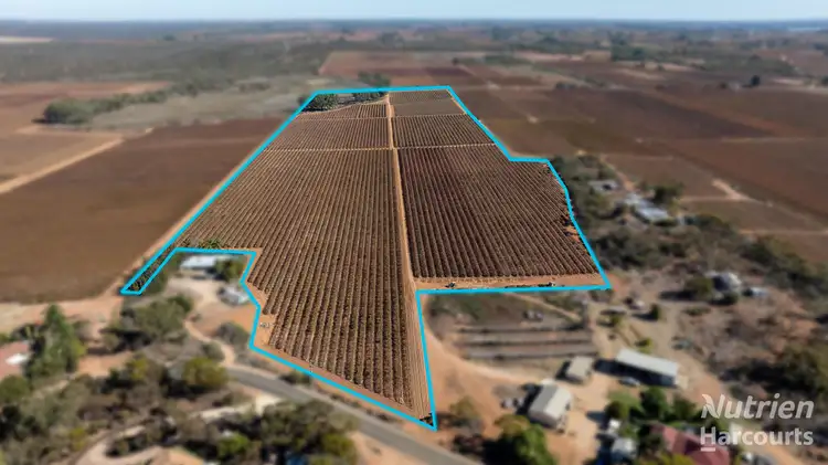 Allotment 23 Garrett Road