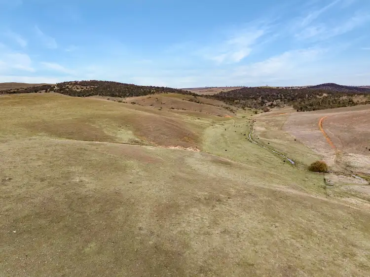 Fourth view of Homely rural property listing, Lot 1 The Snowy River Way, Boco NSW 2631