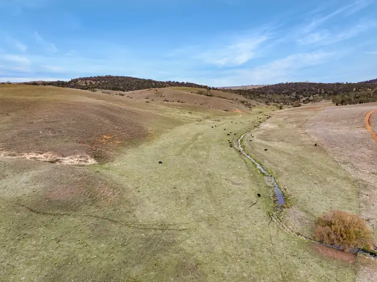 Fifth view of Homely rural property listing, Lot 1 The Snowy River Way, Boco NSW 2631