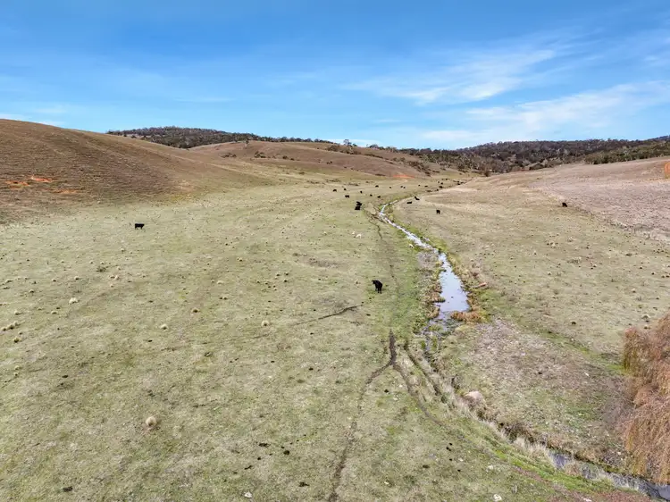 Seventh view of Homely rural property listing, Lot 1 The Snowy River Way, Boco NSW 2631