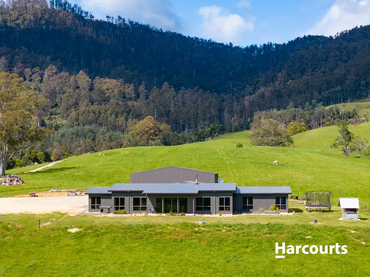 Main view of Homely rural property listing, 92 Petterwood Road, Trenah TAS 7263