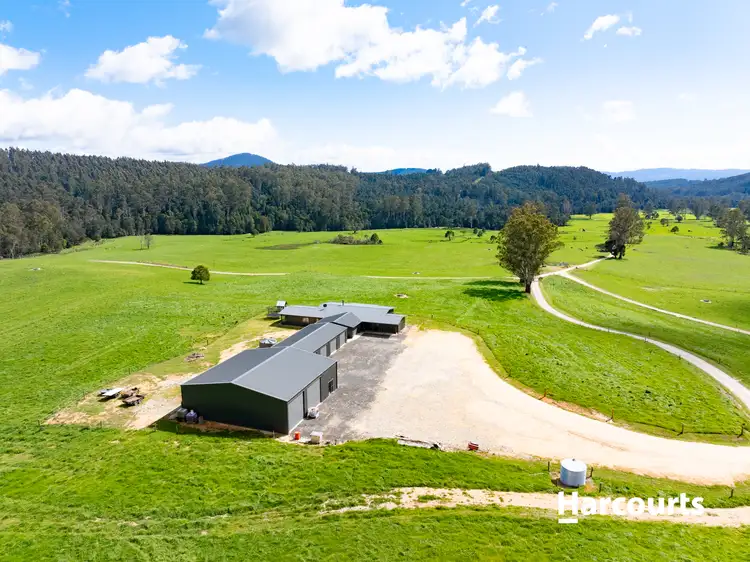 Fourth view of Homely rural property listing, 92 Petterwood Road, Trenah TAS 7263