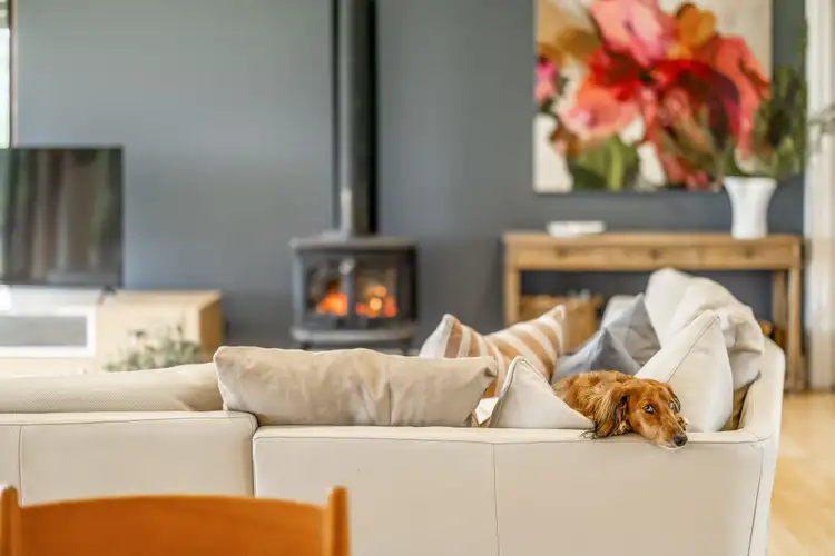Sixth view of Homely rural property listing, 151 River Road, Hahndorf SA 5245