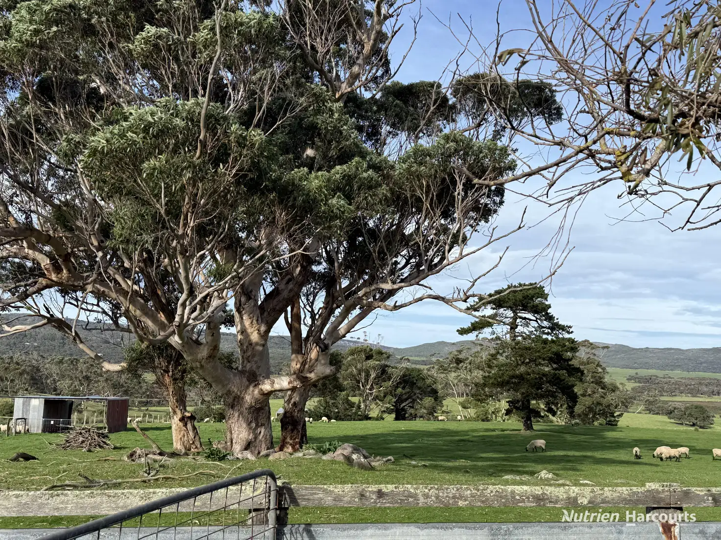 Main view of Homely rural property listing, 24 Cook Road, Bornholm WA 6330