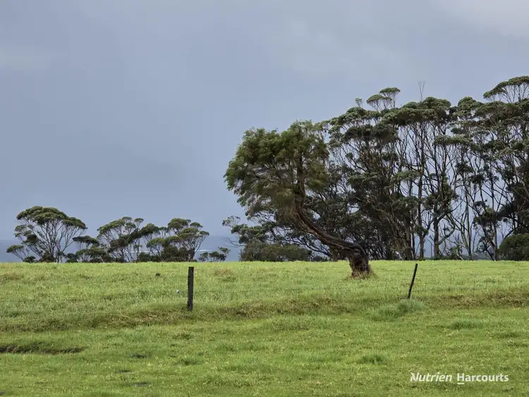 Fifth view of Homely rural property listing, 24 Cook Road, Bornholm WA 6330