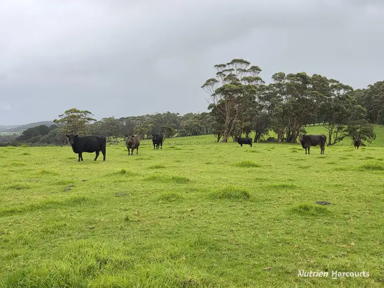 Sixth view of Homely rural property listing, 24 Cook Road, Bornholm WA 6330