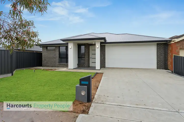 19 Alfred Avenue, Seaton SA 5023