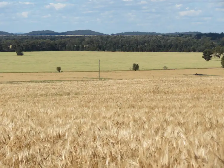 Third view of Homely rural property listing, 1032 Manna Forest Rd, Burcher NSW 2671