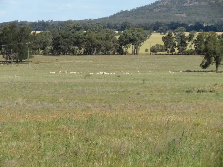 Fifth view of Homely rural property listing, 1032 Manna Forest Rd, Burcher NSW 2671