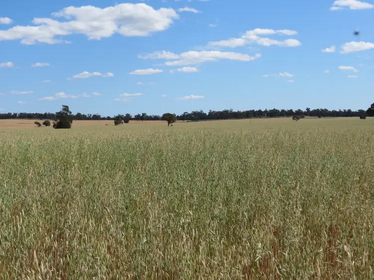 Sixth view of Homely rural property listing, 1032 Manna Forest Rd, Burcher NSW 2671