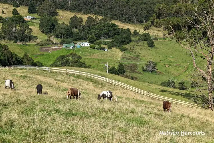 482 Old Whitelaws Track, Devon North VIC 3971