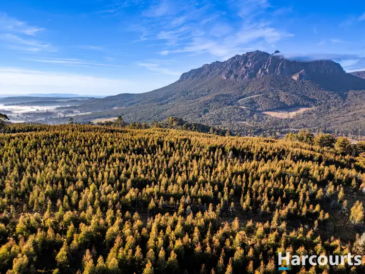 220 Holmes Road, Roland TAS 7306