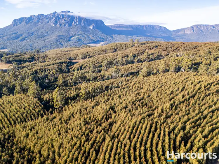 Fourth view of Homely rural property listing, 220 Holmes Road, Roland TAS 7306