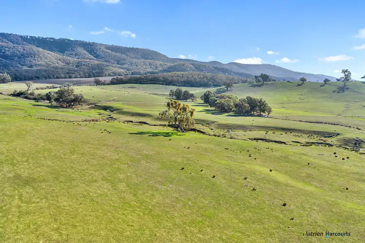 Third view of Homely rural property listing, 148 Old Yarck Road, Yarck VIC 3719